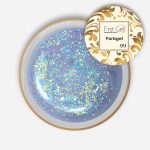 Color Gel Nr.99 & Aufbaugel 4g