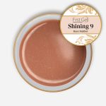 Base Rubber Shining 9 15g