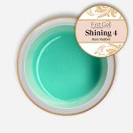 Base Rubber Shining 4 15g
